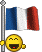 drapeau france :icon_france